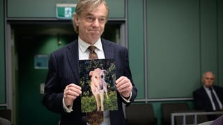 Image for ABC Announces New Shows for 2027 Starring Hugo Weaving, Rebecca Gibney and Hunter Page-Lochard