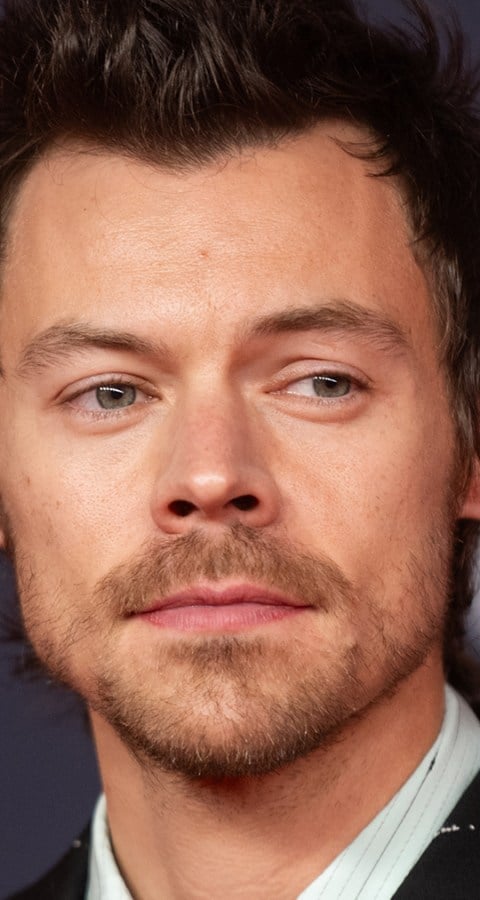 Image for Harry Styles Reflects on Liam Payne's Death: 'It's Difficult to Lose a Friend Who Is So Like You'