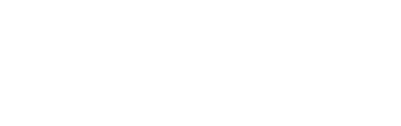 Spy